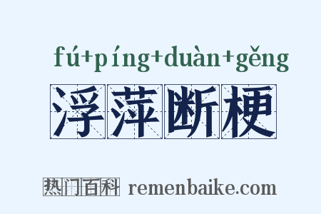 浮萍断梗是什么意思的图片